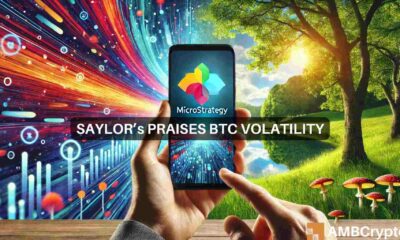 Bitcoin's volatility 'is the price you pay for...' - Michael Saylor