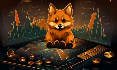 is bonk coin a good investment