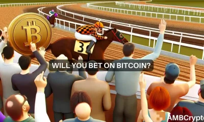 Assessing Bitcoin's movements post halving