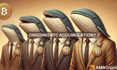 Bitcoin whales show confidence with over $1.7 billion accumulation