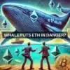 Ethereum whale watch: Does THIS movement indicate a market sell-off?