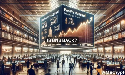 BNB drops only 0.35% drop amidst crypto bloodbath: Sign of decoupling?