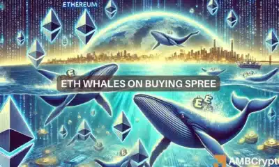 Ethereum whales buy ETH worth $440 mln - Preparing for a rally?