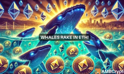 Ethereum: Is NOW the best time to buy? These whale movements say...