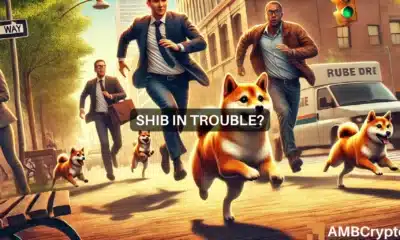 Whales and Burns - Here's how SHIB is trying to recover its price