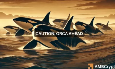 Orca crypto price prediction: Buying opportunity ahead, or bull trap?