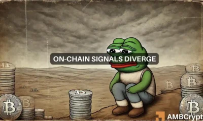 Pepe bulls seek to defend the gains established, are they strong enough to achieve this?