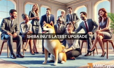 Shiba Inu's latest hard fork - Identifying its potential price impact