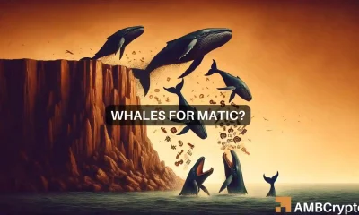 Whales buy MATIC's dip